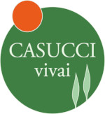 logo_casucci-footer-2023