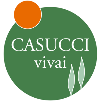 Casucci Vivai